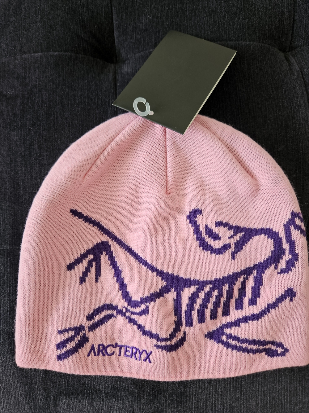 Arc'teryx Pink & Purple Logo Bird Head Beanie